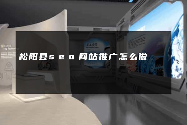 松阳县seo网站推广怎么做