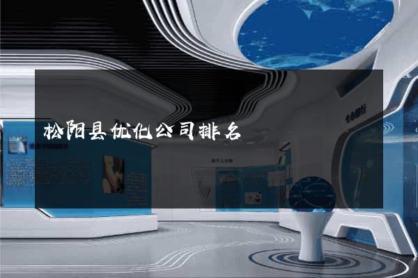 松阳县优化公司排名