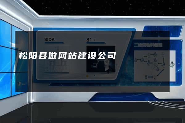 松阳县做网站建设公司