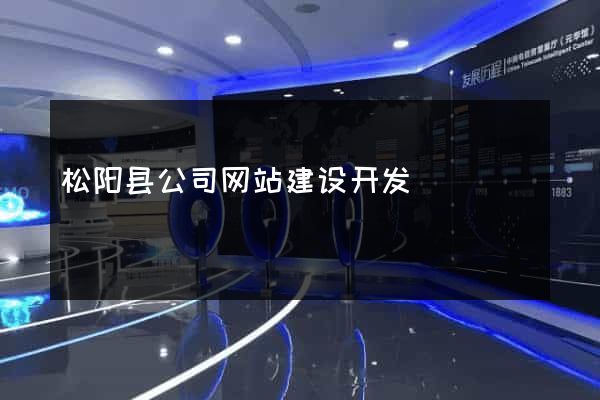 松阳县公司网站建设开发