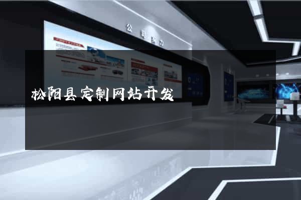 松阳县定制网站开发