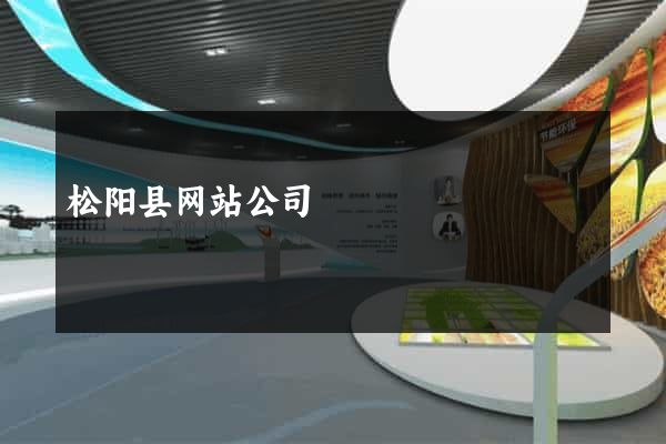 松阳县网站公司