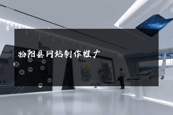 松阳县网站制作推广