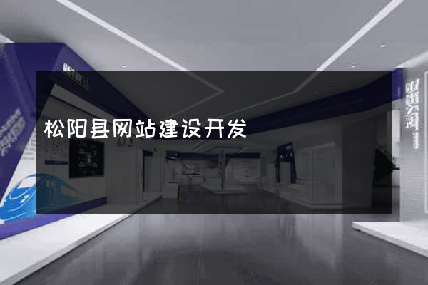 松阳县网站建设开发