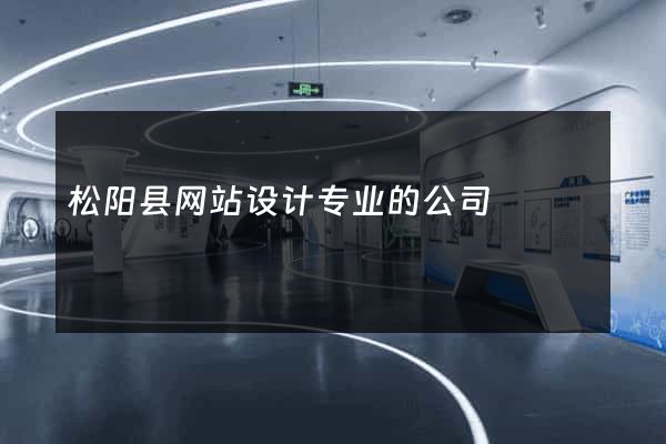 松阳县网站设计专业的公司