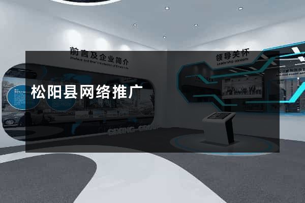松阳县网络推广