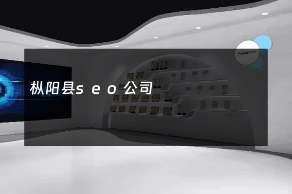 枞阳县seo公司