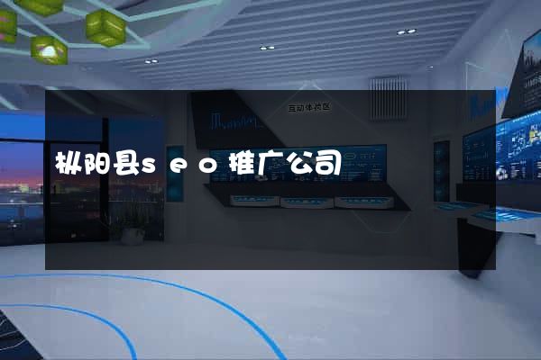 枞阳县seo推广公司