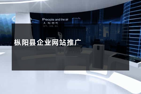 枞阳县企业网站推广