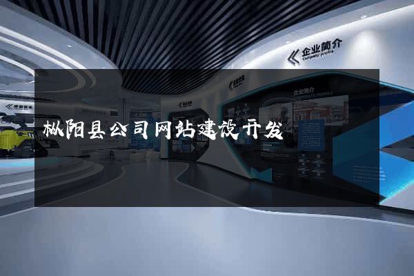 枞阳县公司网站建设开发