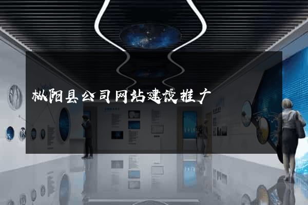 枞阳县公司网站建设推广