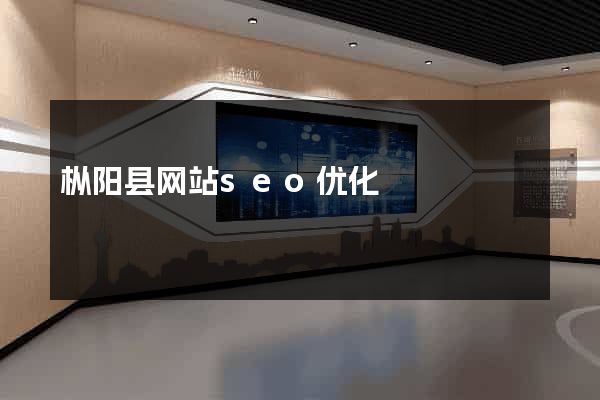 枞阳县网站seo优化