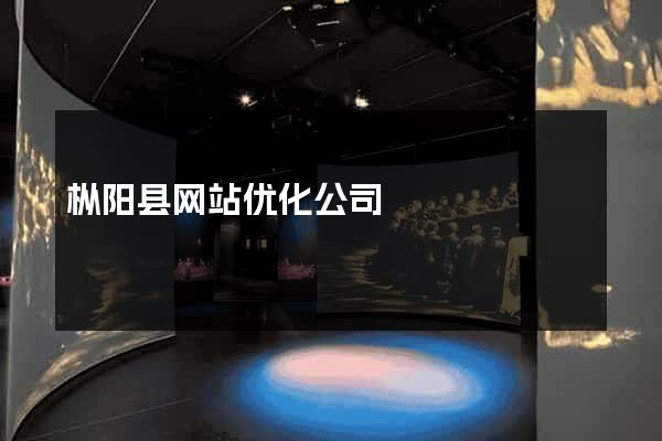枞阳县网站优化公司