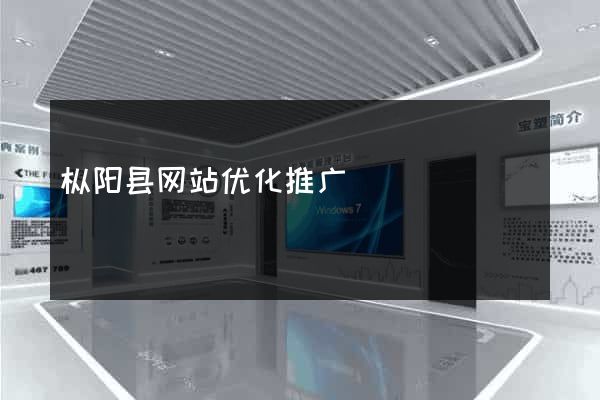枞阳县网站优化推广