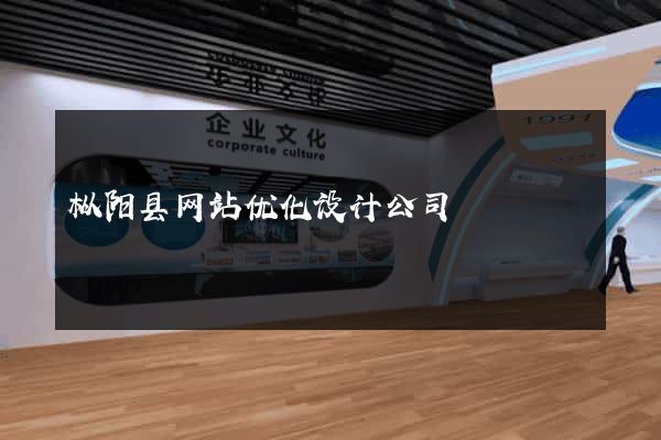 枞阳县网站优化设计公司