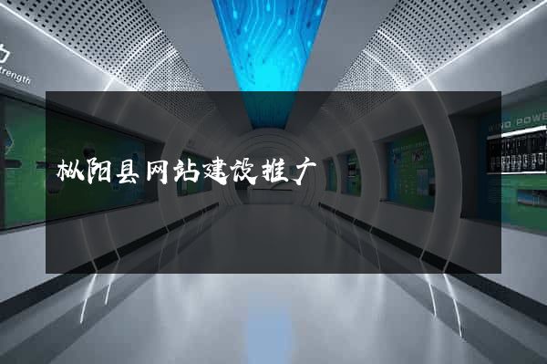 枞阳县网站建设推广