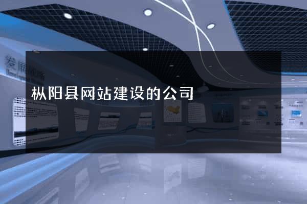 枞阳县网站建设的公司