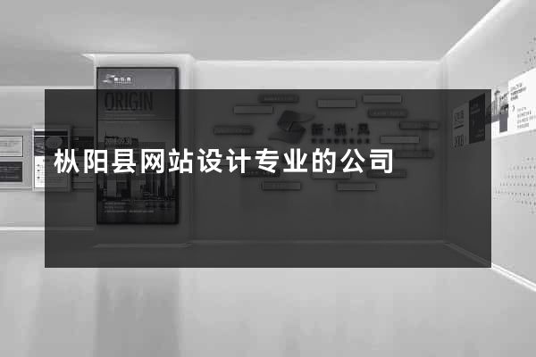 枞阳县网站设计专业的公司