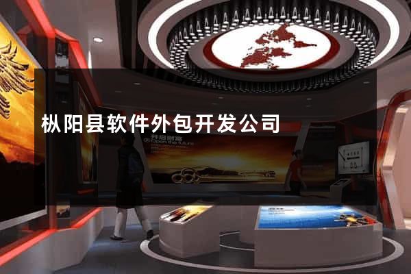 枞阳县软件外包开发公司