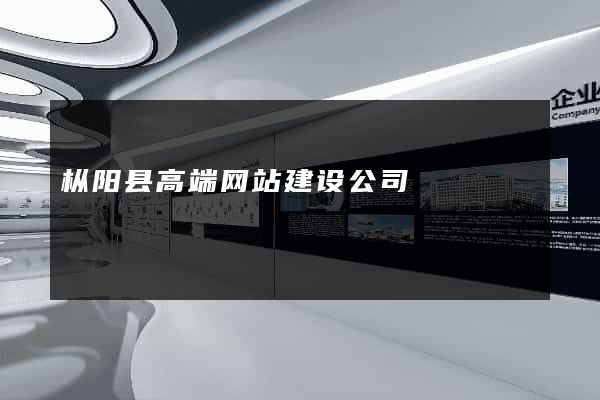 枞阳县高端网站建设公司