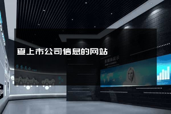 查上市公司信息的网站