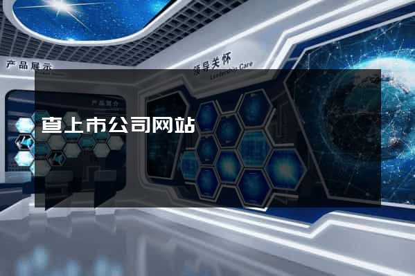查上市公司网站