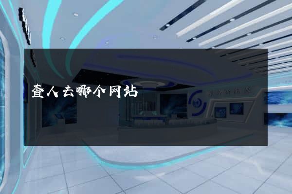 查人去哪个网站