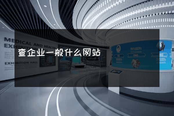 查企业一般什么网站