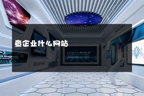 查企业什么网站