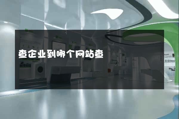 查企业到哪个网站查
