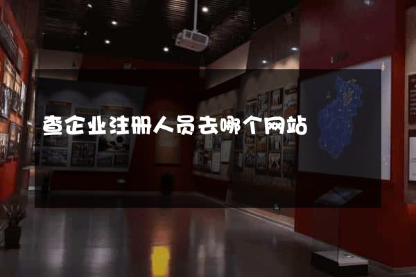 查企业注册人员去哪个网站