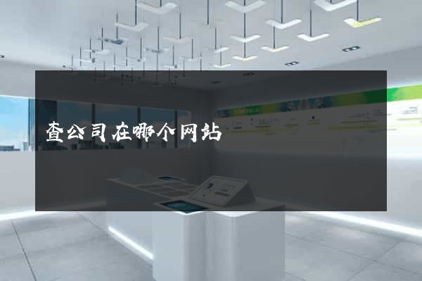 查公司在哪个网站
