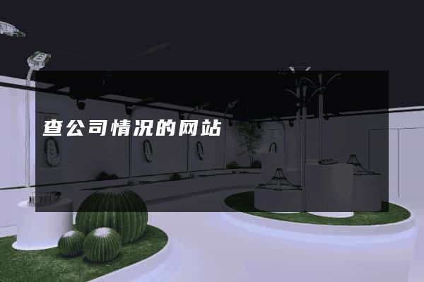 查公司情况的网站