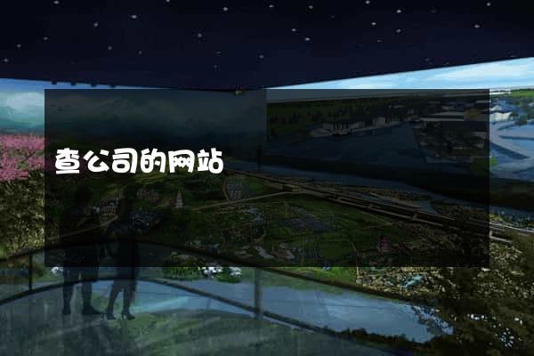 查公司的网站