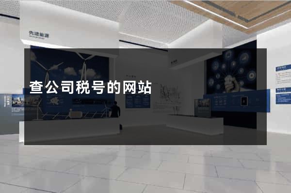 查公司税号的网站