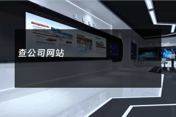 查公司网站