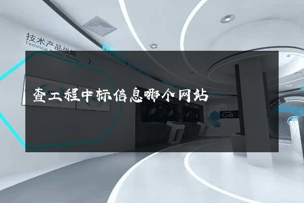 查工程中标信息哪个网站