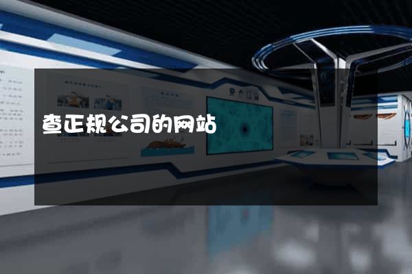 查正规公司的网站