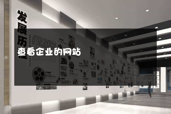 查看企业的网站