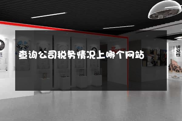 查询公司税务情况上哪个网站