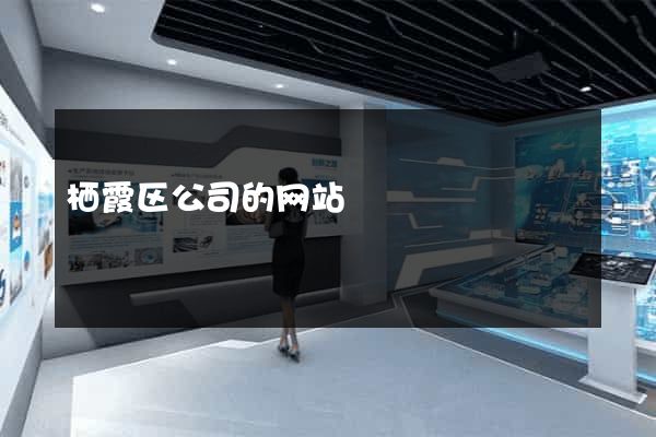 栖霞区公司的网站