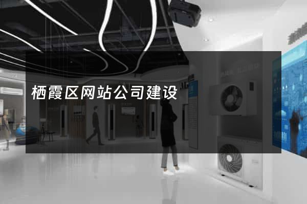 栖霞区网站公司建设