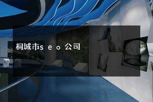 桐城市seo公司