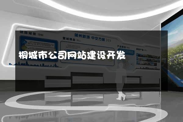 桐城市公司网站建设开发