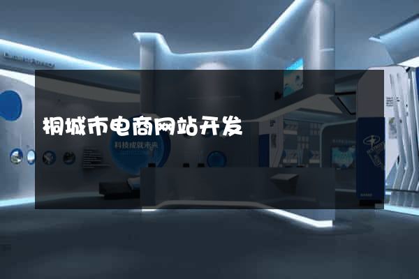 桐城市电商网站开发