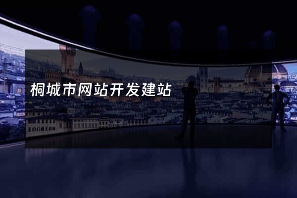 桐城市网站开发建站
