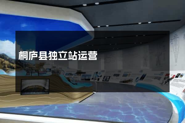 桐庐县独立站运营
