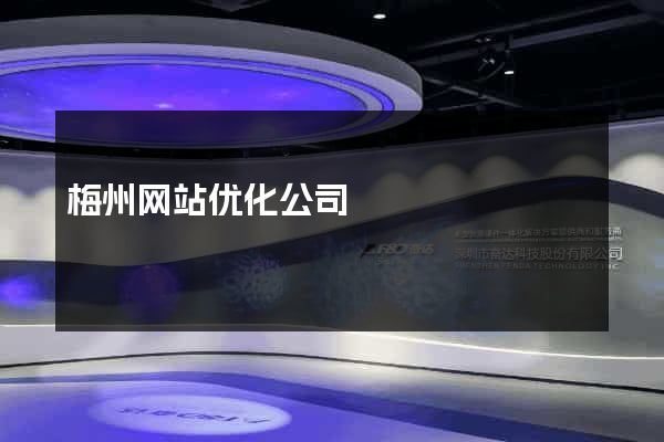 梅州网站优化公司
