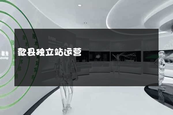 歙县独立站运营