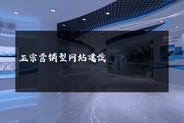 正宗营销型网站建设